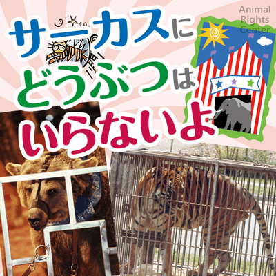 201506112224_1-400x0.png