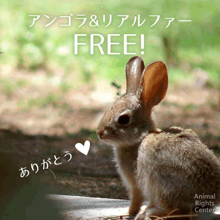 201602171644_1.png