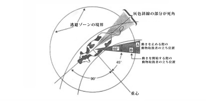 201705191948_1.jpg